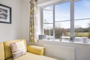 Light and Bright- click for photo gallery